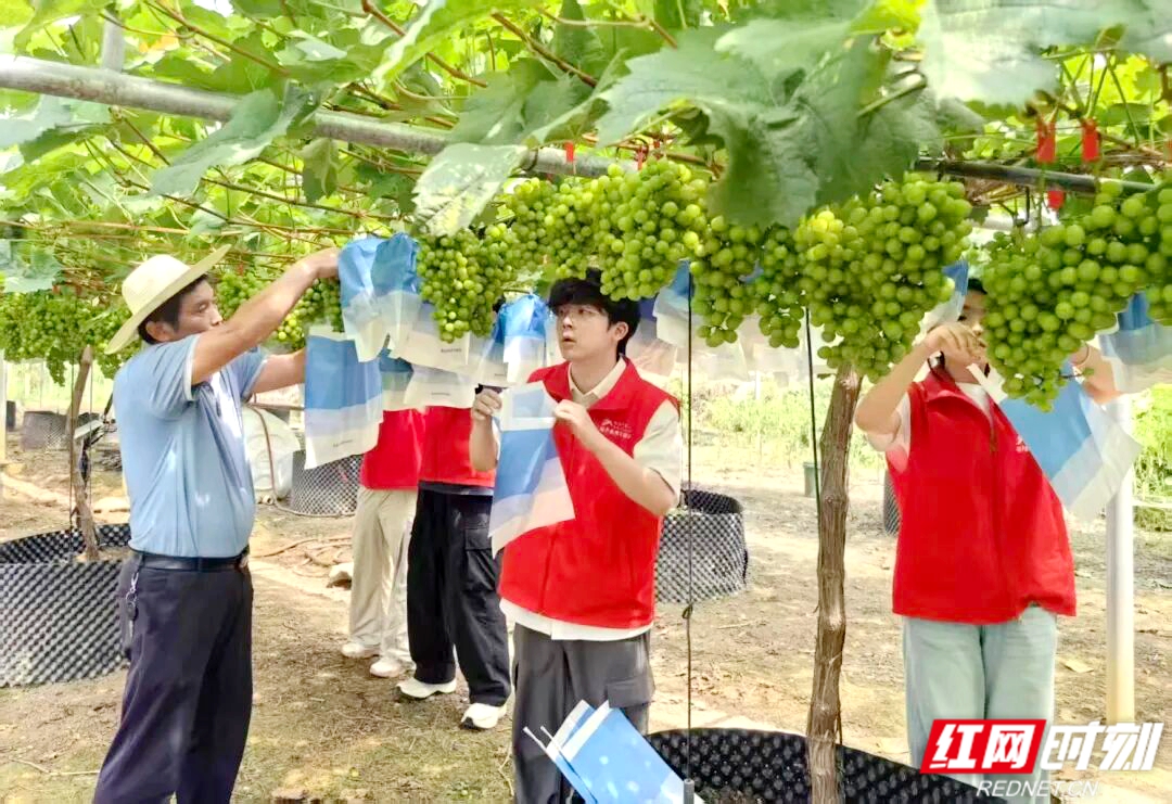 微信图片_2026-08-26_172212_577.jpg 微信图片_2026-08-26_172212_577.jpg