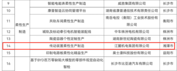 江麓集团成功入选湖南省"智赋万企" 十大应用场景典型案例