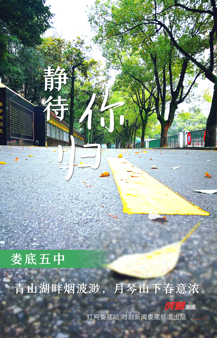 五中.jpg