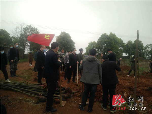 微信图片_20200318000624_副本.jpg 微信图片_20200318000624_副本.jpg