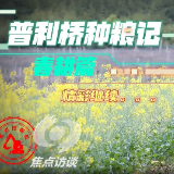 焦点访谈·普利桥种粮记⑧丨瓜蒌改稻用水量飙升，修条新水渠？