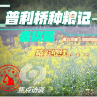 焦点访谈·普利桥种粮记⑨丨占田这笔账，到底怎么算？
