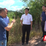 祁阳:陈小平调研督导抗旱工作