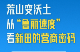 长图丨荒山变沃土 从“鲁丽速度”看新田的营商密码