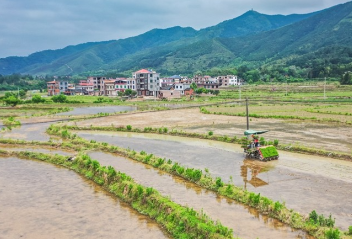 蓝山：谷雨近 农事忙（组图）