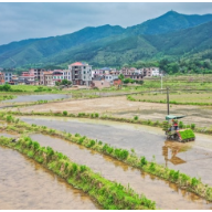 蓝山：谷雨近 农事忙（组图）