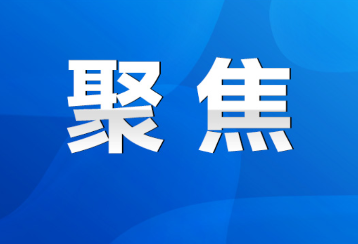 零陵区梳子铺乡：“保姆式服务”助企解民忧