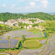 湖南新田：农忙盛夏 乡村如画（组图）