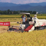 江永：抢收抢种保夏粮 机械减损促增收