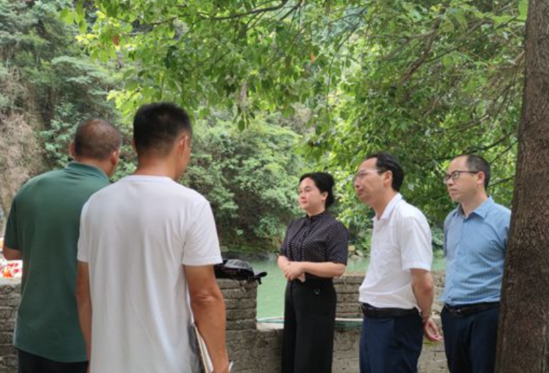 金洞：强化督导检查 筑牢安全生产防线