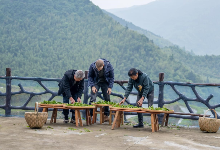 东安县乡土人才“破土飘香”