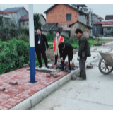 宝峰街道：奔跑在田间的“红马甲”