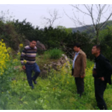 新关镇:全面开展禁种铲毒踏查行动