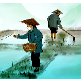 二都街道：春耕时节喜添肥