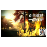 森林防灭火公益宣传片 |  勿念葱林繁似海 一星燃尽只尘埃