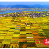  农发行石门县支行支持春耕备耕见成效