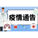 关于境外来石人员林某某有关情况的通报