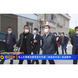 市人大常委会领导来石开展《食品安全法》执法检查