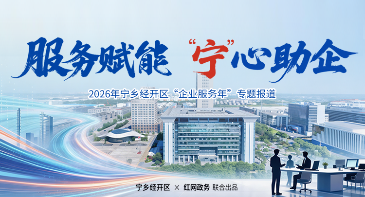 专题｜服务赋能 “宁”心助企