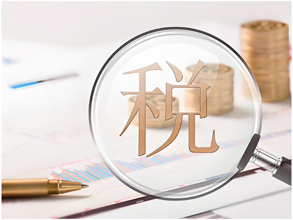 《国家税务总局2025年法治政府建设情况报告》公布 统筹推进税收法治建设高质量发展}