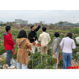 智汇潇湘,去年赴湘创业的青年们如今怎样了