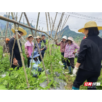 湖南税务乡村振兴工作队邀请专家下田授课 农户直呼“太管用”