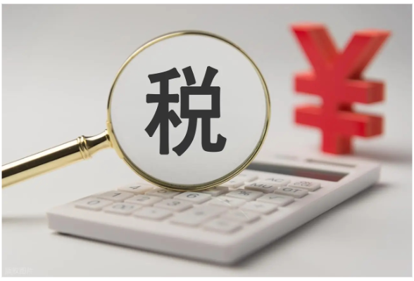哪些纳税人需要办理一般纳税人登记？}