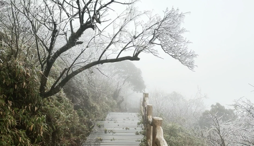 新化大熊山雾凇图片