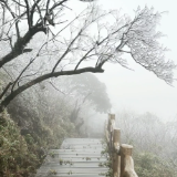 湖南新化大熊山迎来冬季第一场雾凇