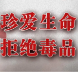 娄底市委网信办开展“厉行禁毒 从我做起”主题党日活动