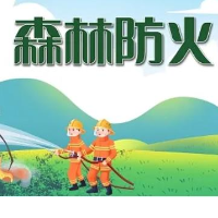 胡忠威到娄星区督导森林防火工作：“防”字当先 防灭并重