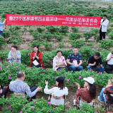 娄底：一场浪漫而精彩的“花海读书会”