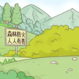 省森防指命令！采取八条断然措施坚决防范遏制森林火灾