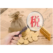 湖南省常德市税务部门依法查处一起骗取留抵退税案件