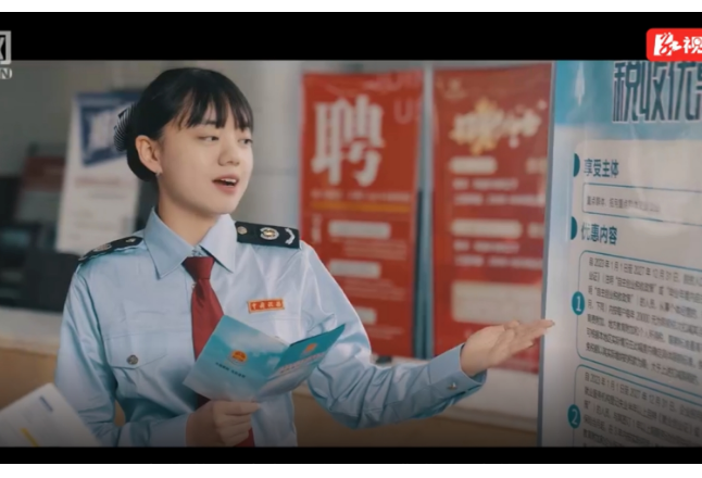 汉寿税务：我在家乡挺好的