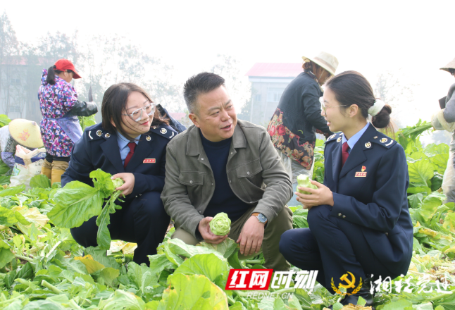 益阳南县税务：“税务蓝”冬送暖　“小菜头”香四方