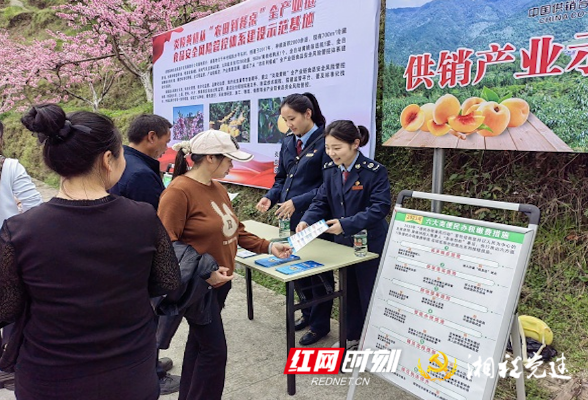 炎陵税务：借力“桃花节” 送去“便民风”