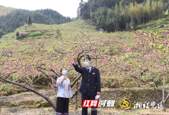 炎陵税务：深耕红色沃土 党建迸发新活力