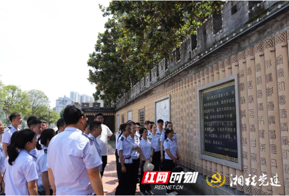 绥宁税务：品莲韵，话清廉