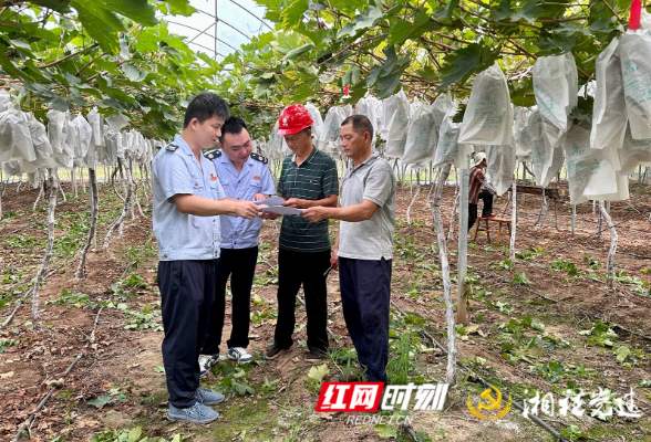 益阳南县税务：“税惠力”让“田园梦”照进现实