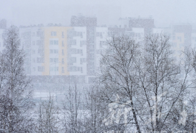 株洲渌口税务：汗水融冰雪 寒冬暖人心