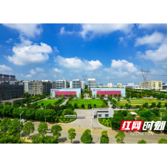 知识产权赋能高质量发展② | 有“价”又有“市” 联智科技以专利产业化点燃发展“新引擎”