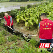 浏阳烟草：党员干部“冲在前” 防汛救灾“当先锋”