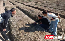 新晃贡溪镇：“严管区”替代种植 既“治土”又致富