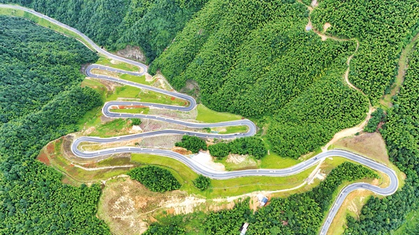 20252111.1.jpg 20252111.1.jpg