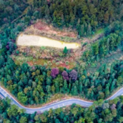 辛小湘丨为湖南的“碳票”叫好