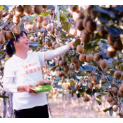 田小雨：用好科技创新这个高质量发展倍增器