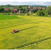 辛小湘丨湖南如何让丰收更有“高级感”