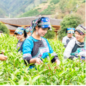 两会观察⑩丨 锚定乡村全面振兴！2026年常态化精准帮扶，这样干