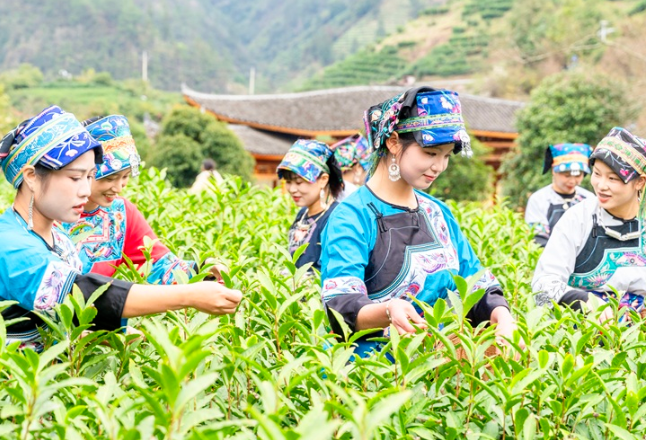 两会观察⑩丨 锚定乡村全面振兴！2026年常态化精准帮扶，这样干